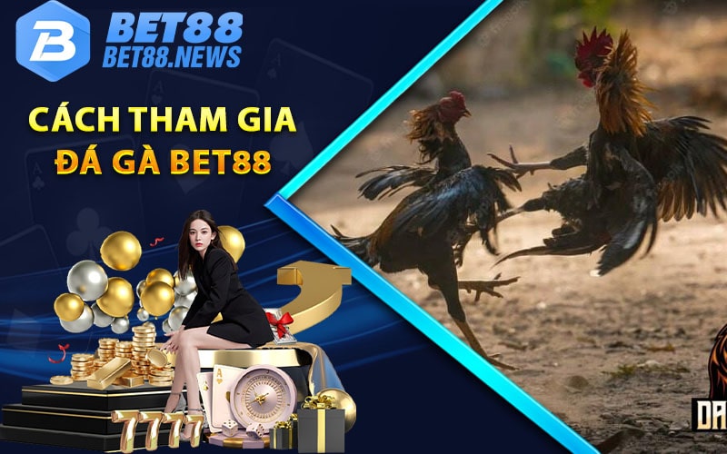 Phương thức tham gia đá gà bet88 trực tiếp