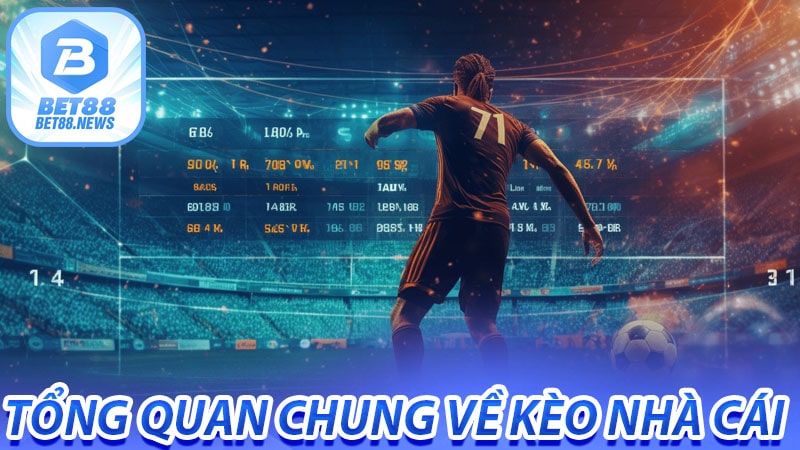 Tổng quan chung về kèo nhà cái