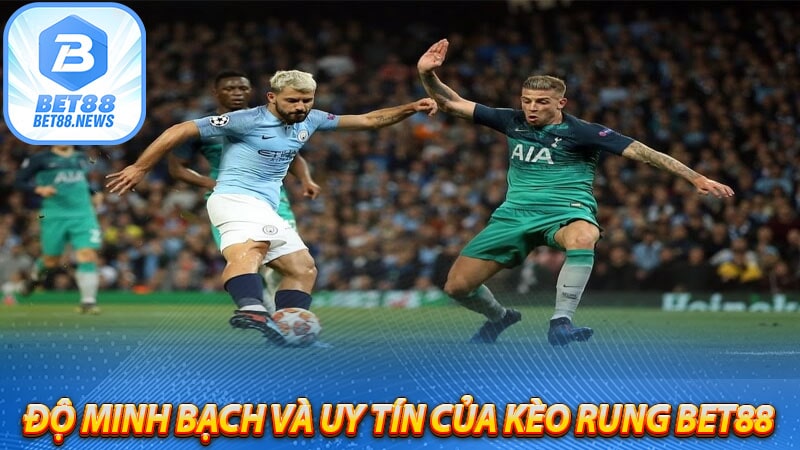 Độ minh bạch và uy tín của kèo rung bet88 